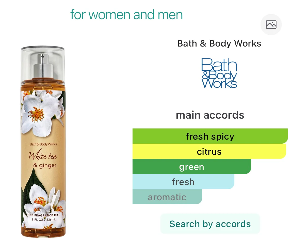 Bath & Body Works White Tea & Ginger Fine Fragrance Mist - Image 2
