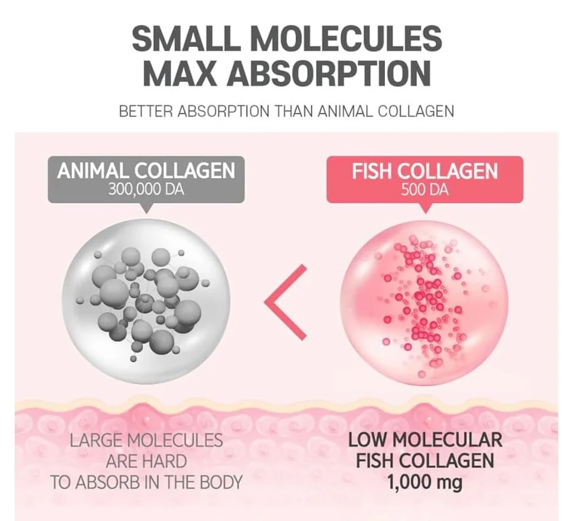 BOTO BEAUTY SECRET POMEGRANATE COLLAGEN (Per sachet) - Image 4