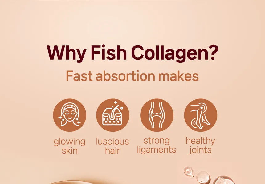 BOTO Pomegranate Concentrate with Collagen (Per sachet) - Image 13