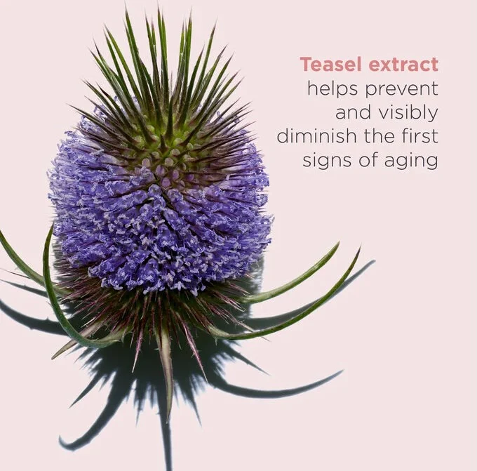 CLARINS Total Eye Revive - Image 3