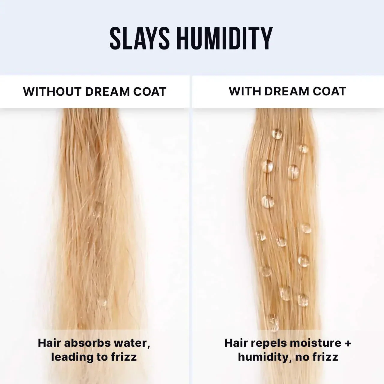 Color Wow Dream Coat Iconic Frizz Fighters Hair Duo Gift Set - Image 4