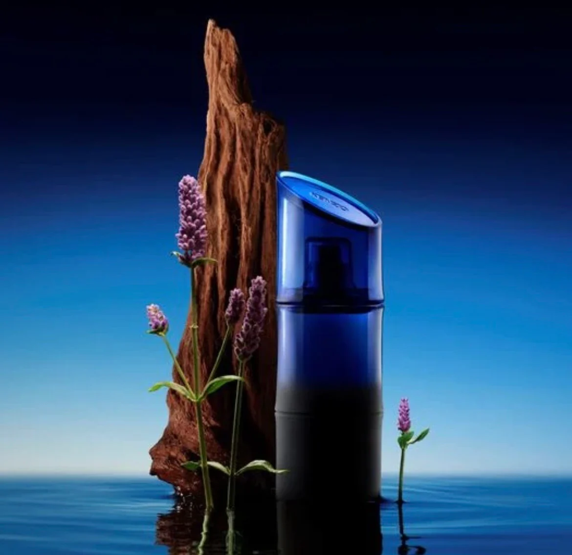 KENZO HOMME SANTAL MARIN EDT - Image 3