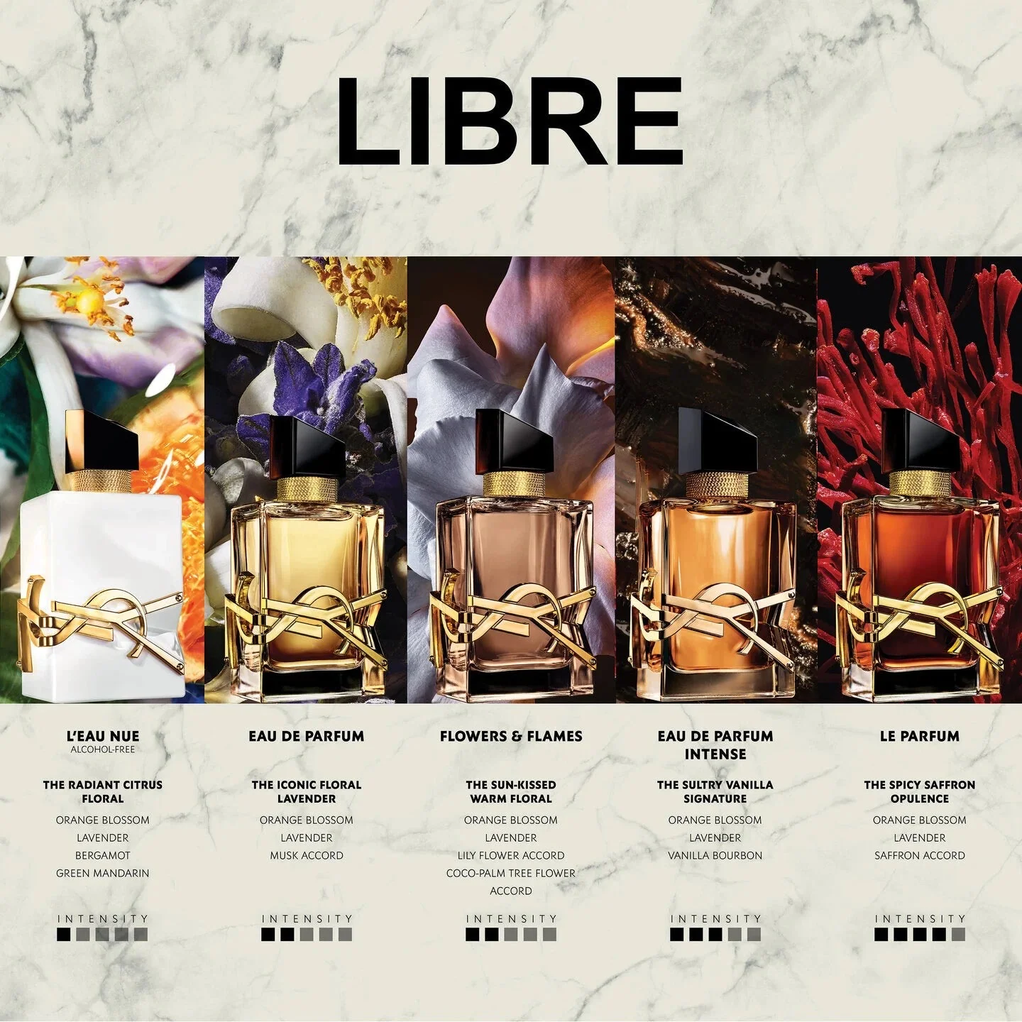YSL LIBRE INTENSE EAU DE PARFUM (EDP) 90 ml - Image 4