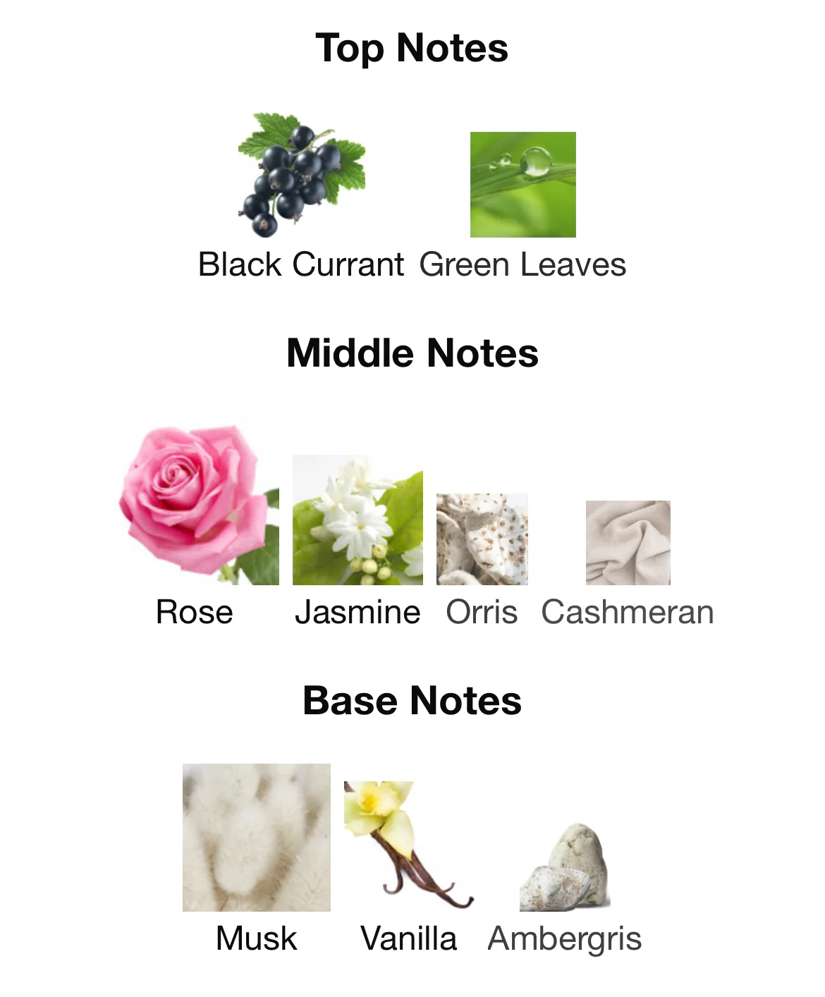 Miss Laverne EDP - Image 6