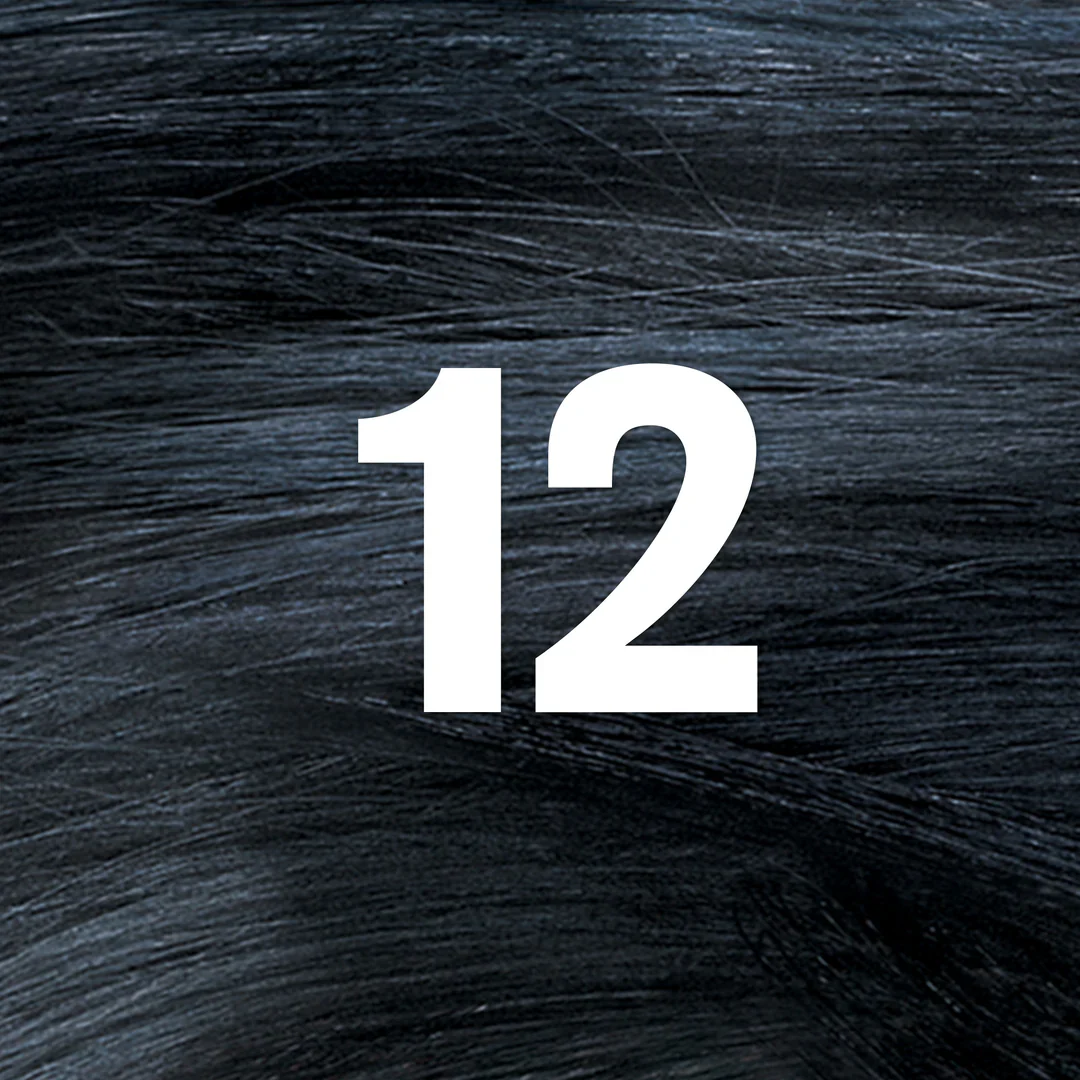 Revlon Color Silk Beautiful Hair Color 12 Natural Blue Black - Image 2