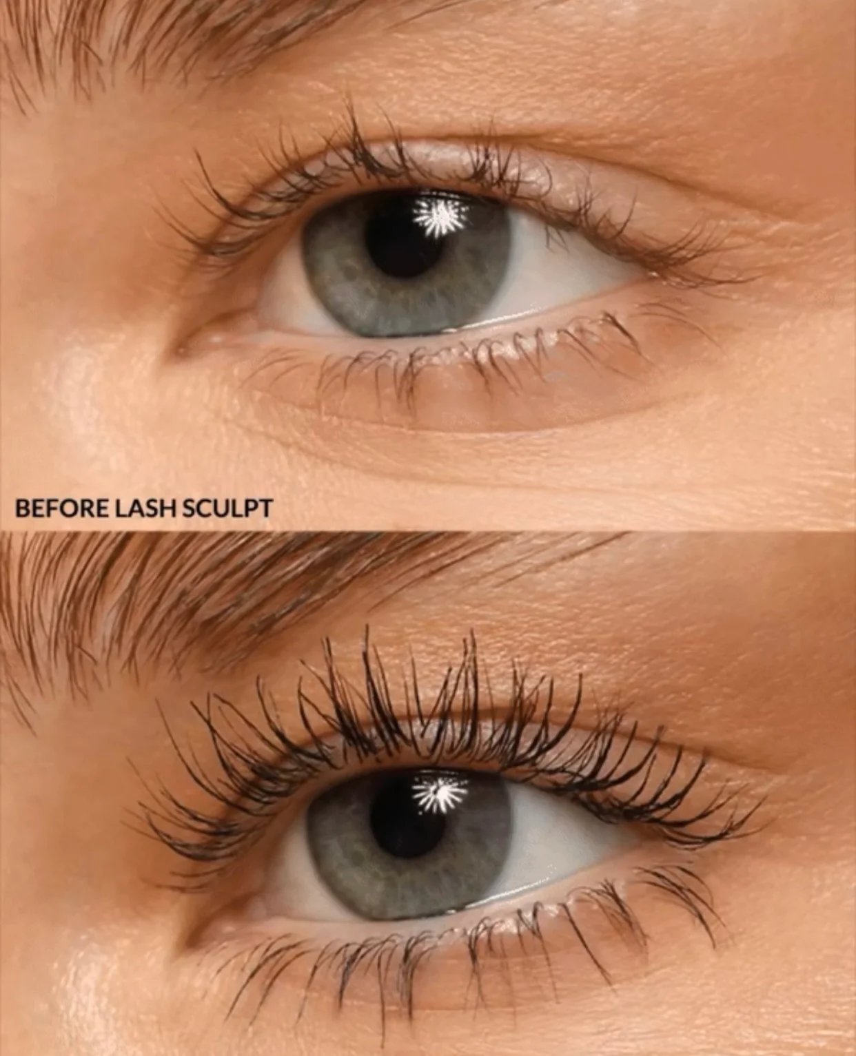 Refy sculpt duo collection last sculpt-brow sculpt - Image 5