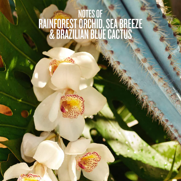 Sol de Janeiro Refresco Paraíso Hair & Body Perfume Mist - Image 7