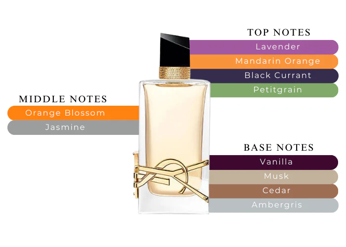 YSL Sephora Beauty Insider Gift Set - Image 4